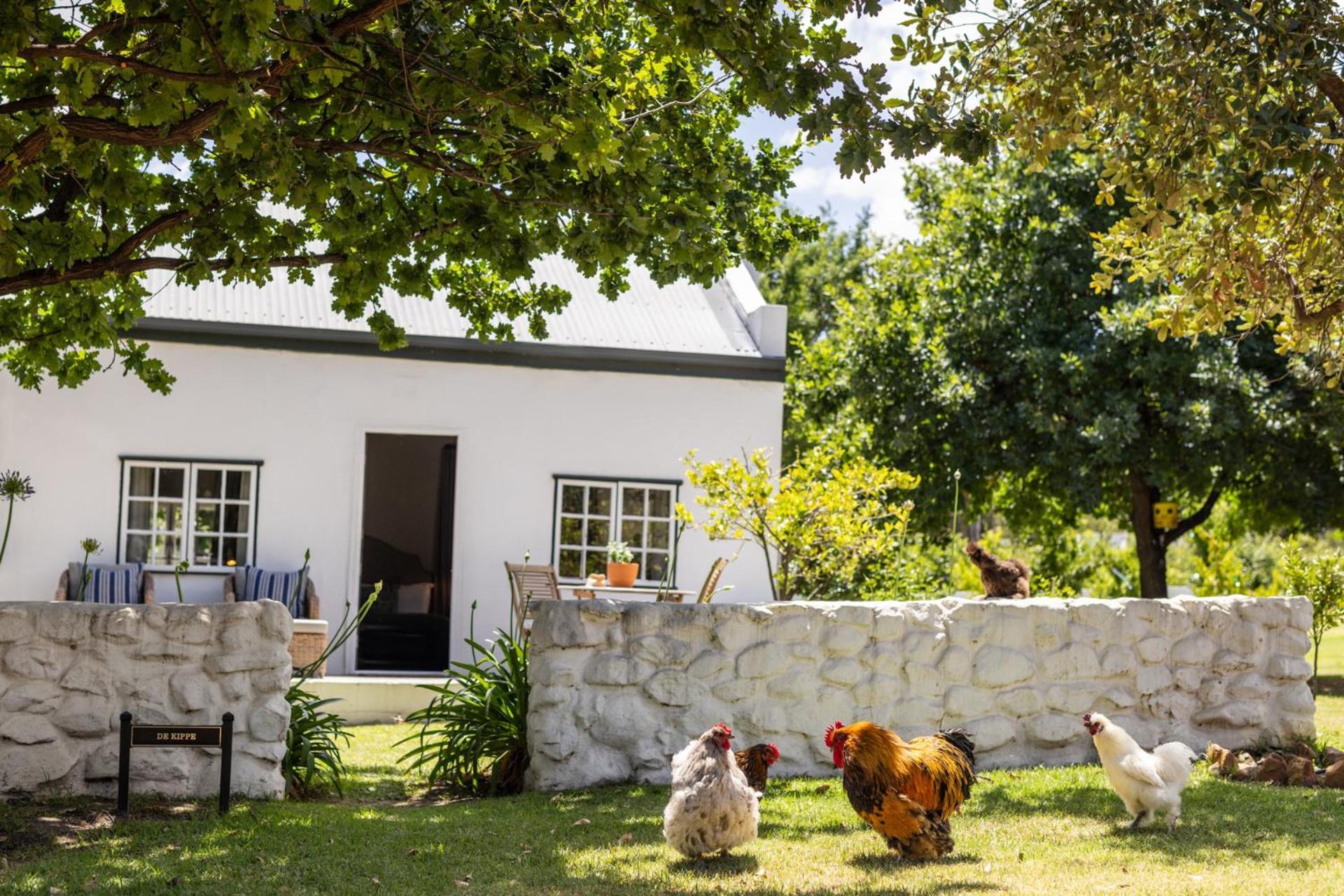 Eikehof Farm Διαμέρισμα Worcester Εξωτερικό φωτογραφία